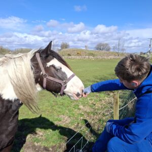 Young person interacting with a horse during an outdoor wellbeing activity